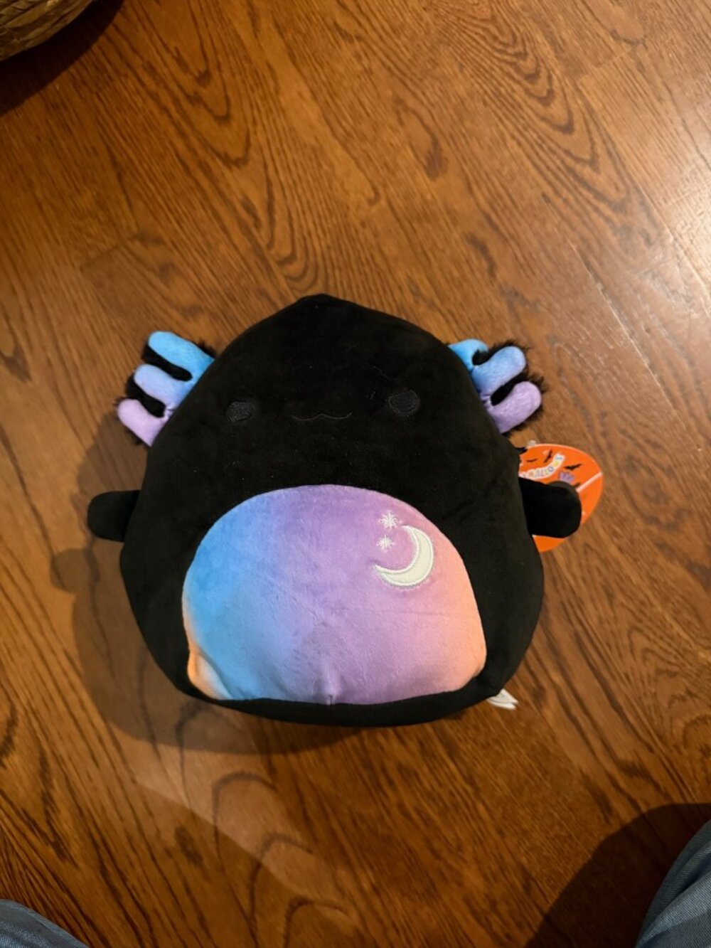 Squishmallows Zanda Halloween Axolotl 8 Inch Plush NWT
